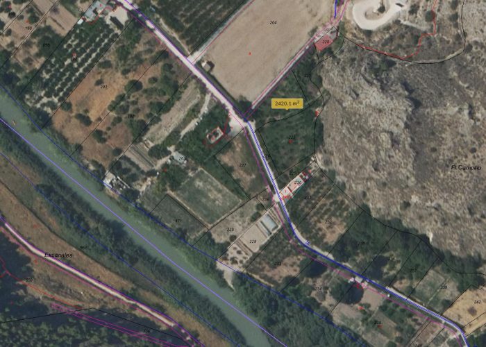 Hoya Don Garcia 1