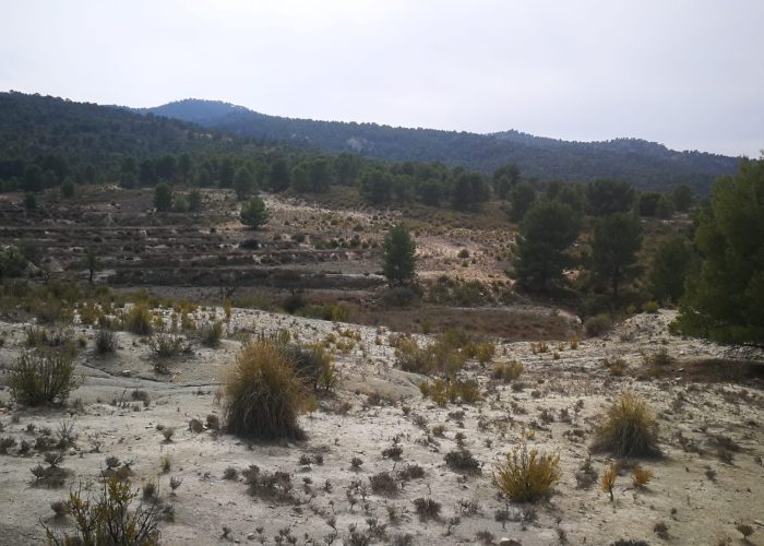 IMG-20220312-WA0000
