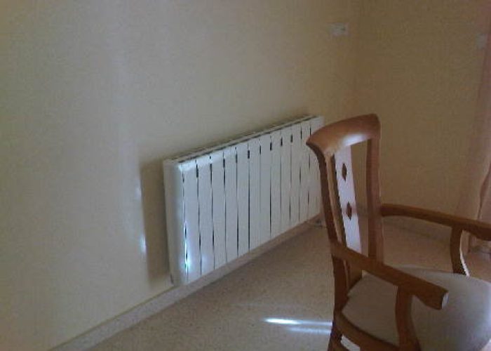 IMG03673-20120821-1820