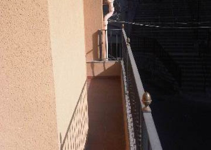 IMG03674-20120821-1821