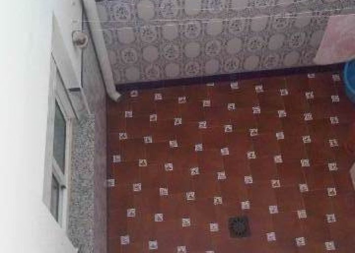 IMG03694-20120821-1827