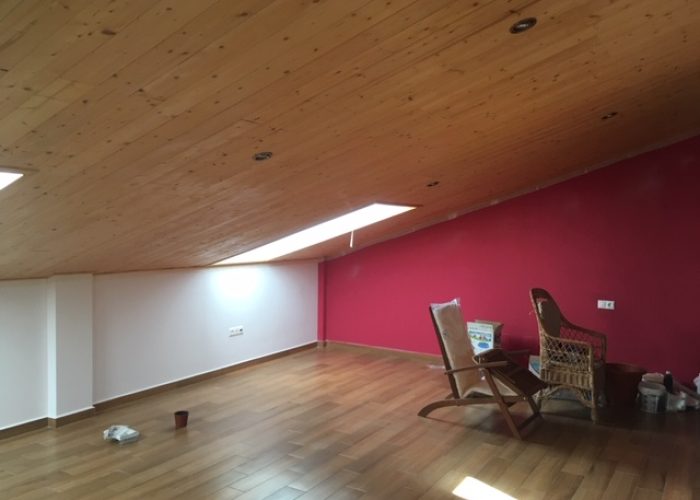 IMG_7229